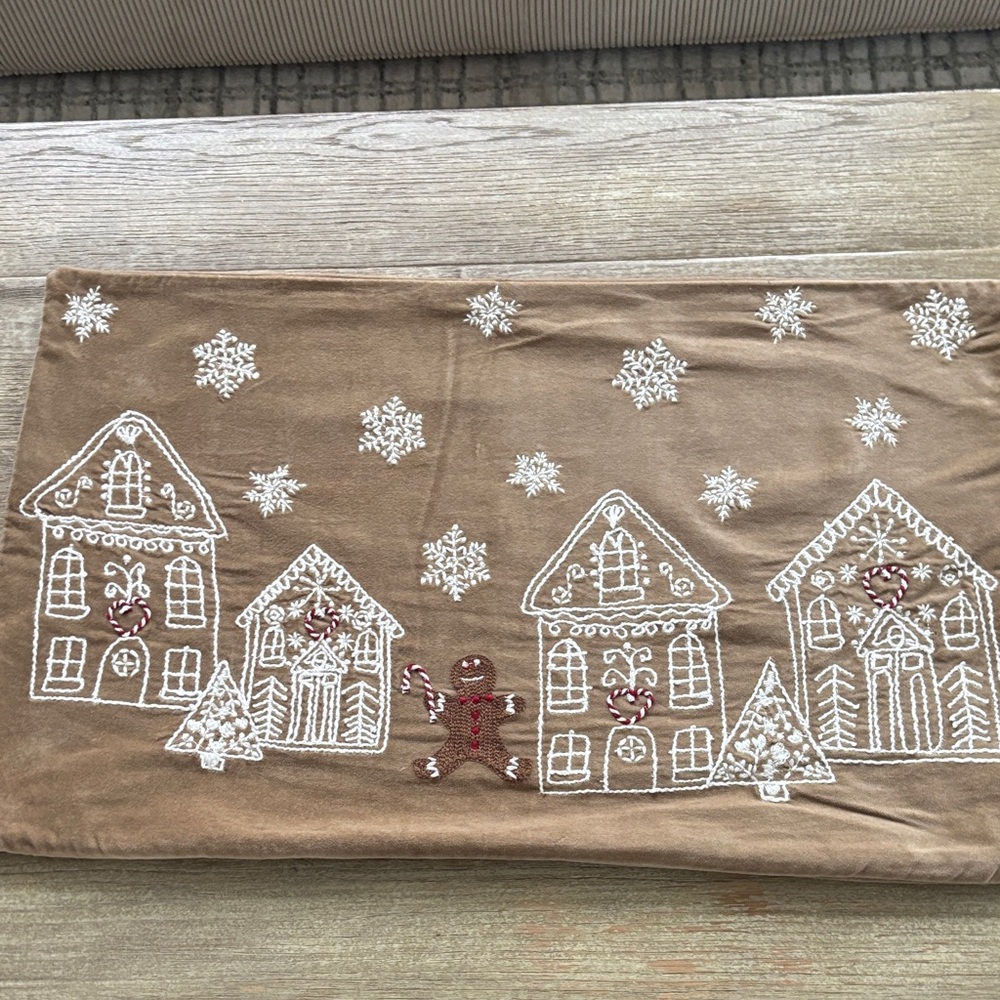 Pottery Barn Velvet pillow cover
